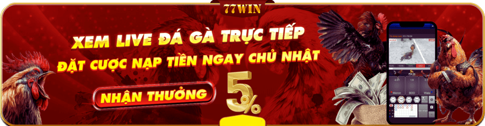 Chuyên mục đá gà tại 77win